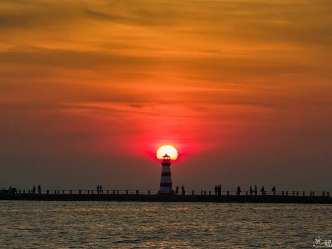 出发！去屿见灯塔看看红嘴鸥！