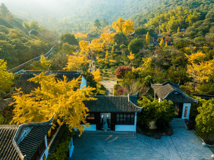 银杏颜值天花板，跟着地图全打卡！