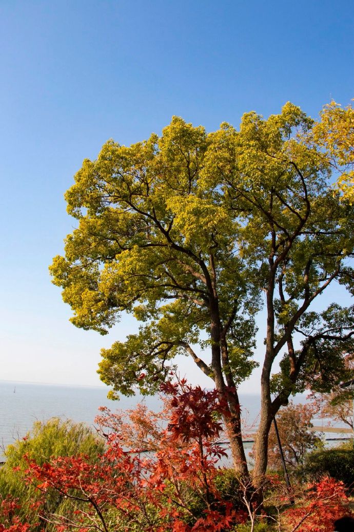 石公山色正斑斓~