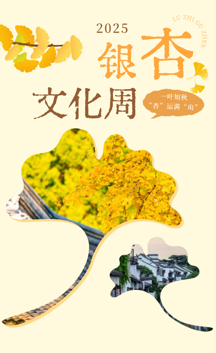 银杏文化周开启！一叶知秋，“杏”会甪直！