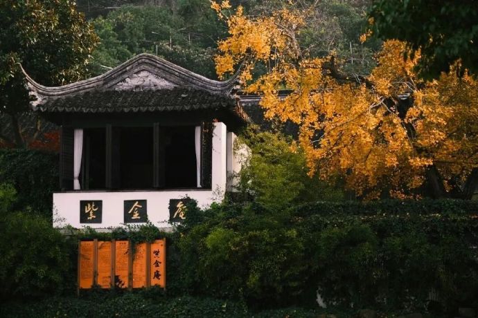 跟随这条线路赏银杏！