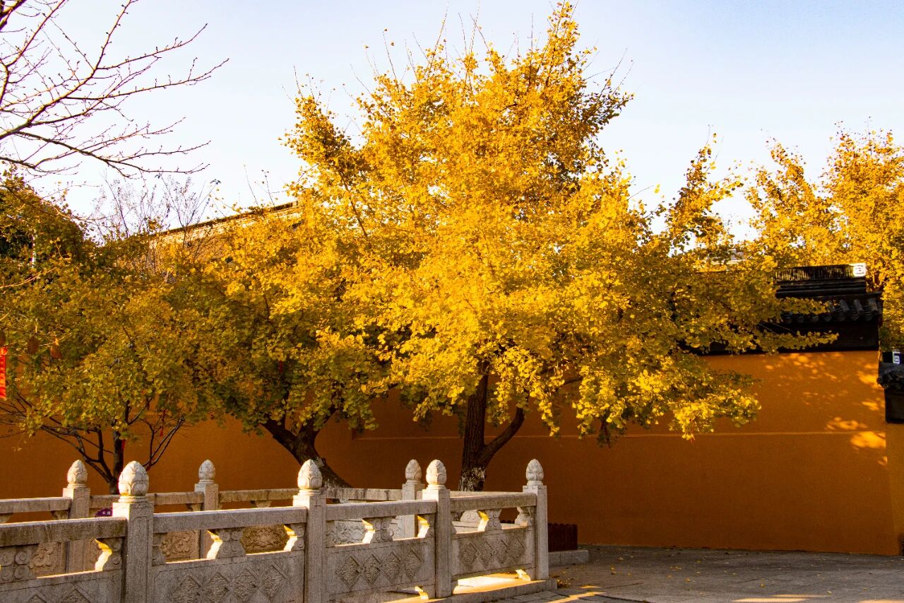 古寺深秋禅意浓