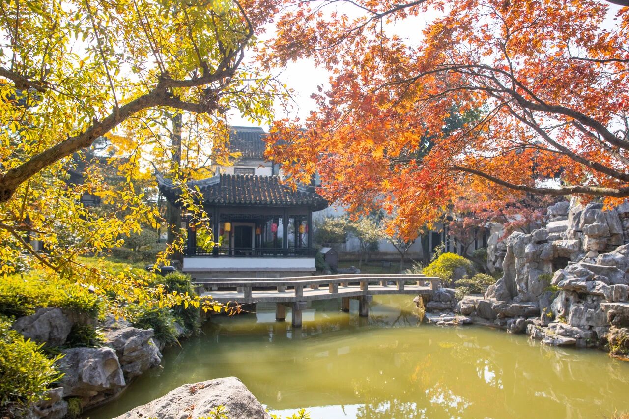 枫情无限，等风也等你