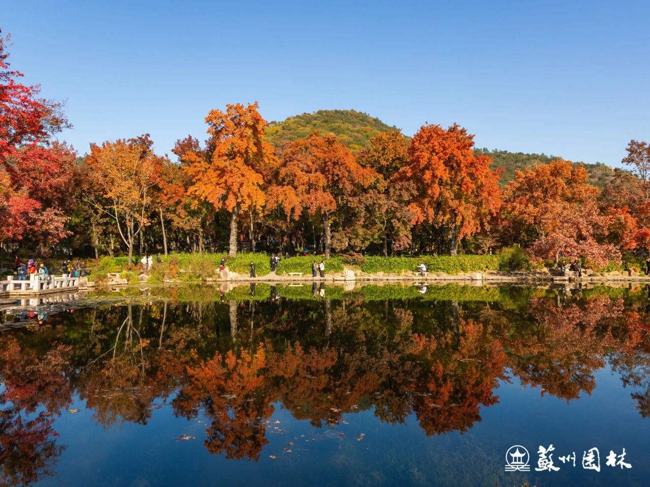 邂逅“五彩枫”，解锁一站式秋日漫游~