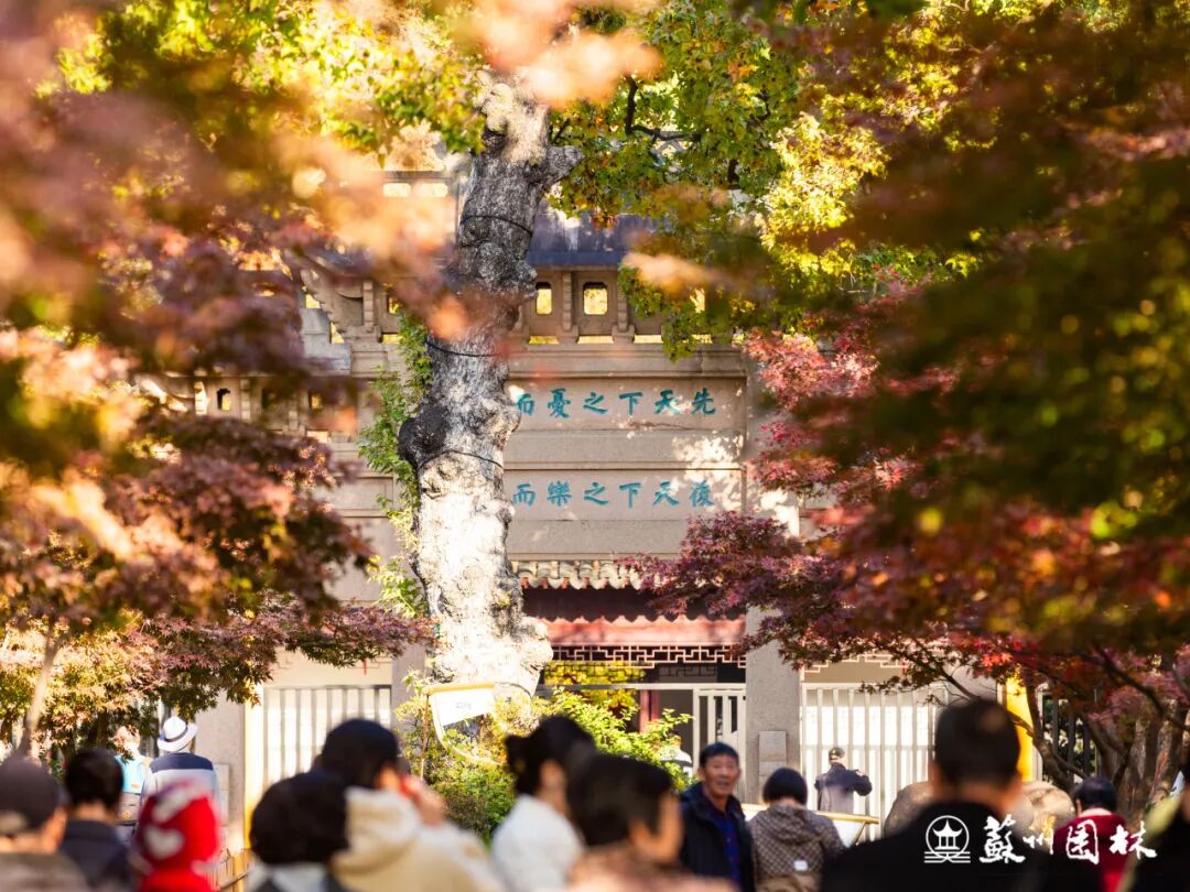 邂逅“五彩枫”，解锁一站式秋日漫游~