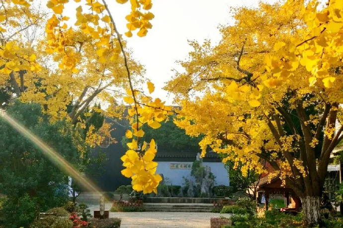足协杯票根免费游吴中！文末宠粉再加码~