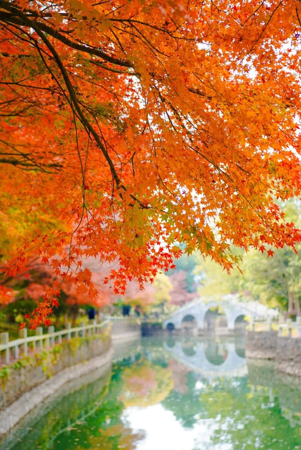 初冬拍照天花板！就在这些地方~