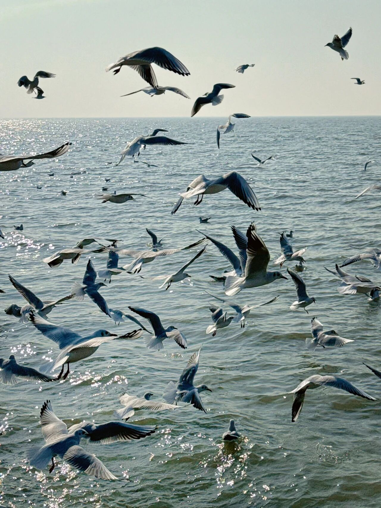 约上骑行搭子,一起在西山岛追风!