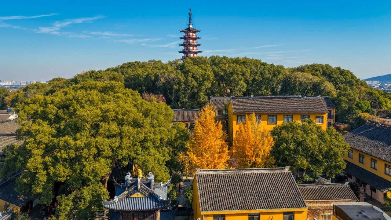 银杏·点染层林金色诗行