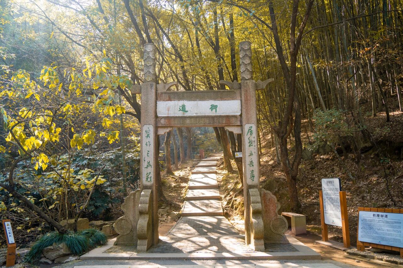 穹窿山森林步道，徒步新地标！