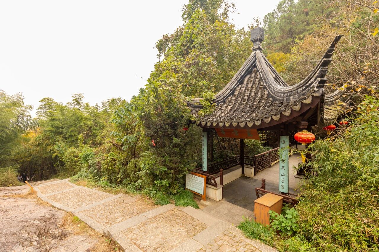 穹窿山森林步道，徒步新地标！