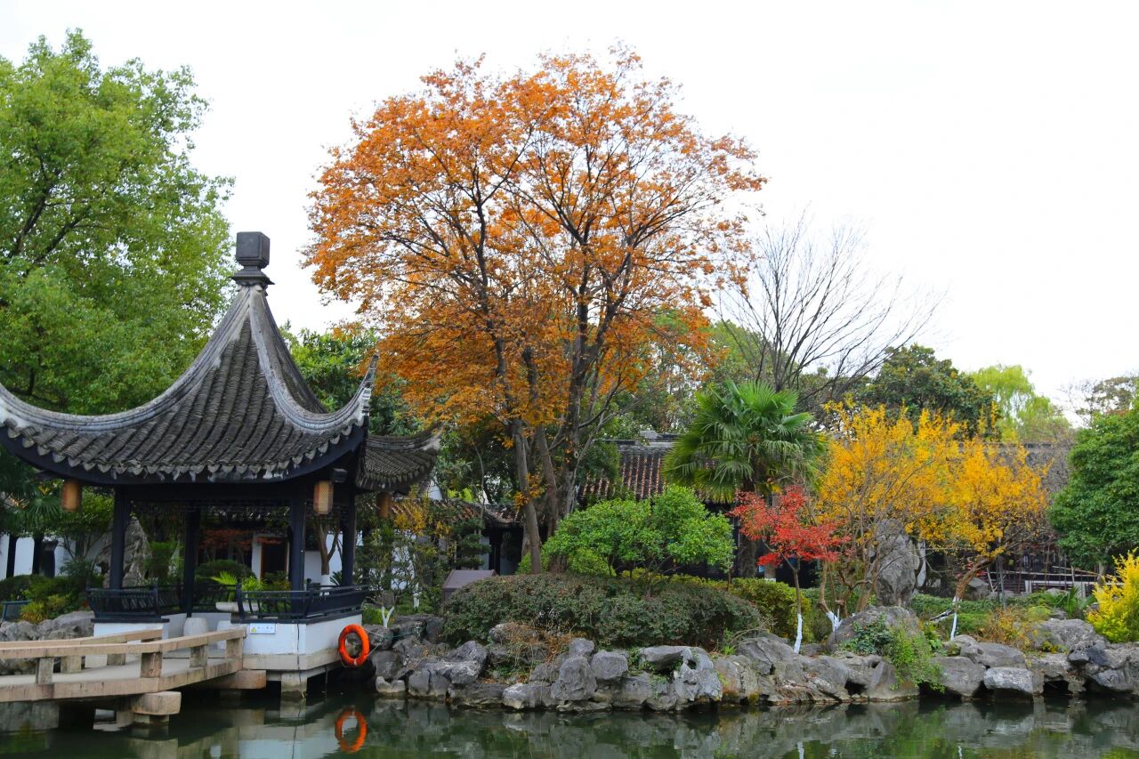 木渎园林的“冬日光影美学”加载中