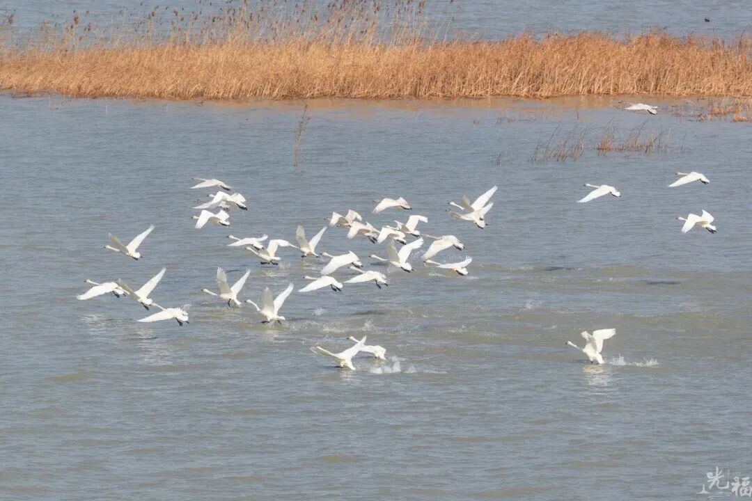 美了美了！诗经里的“雪”落在了这里~