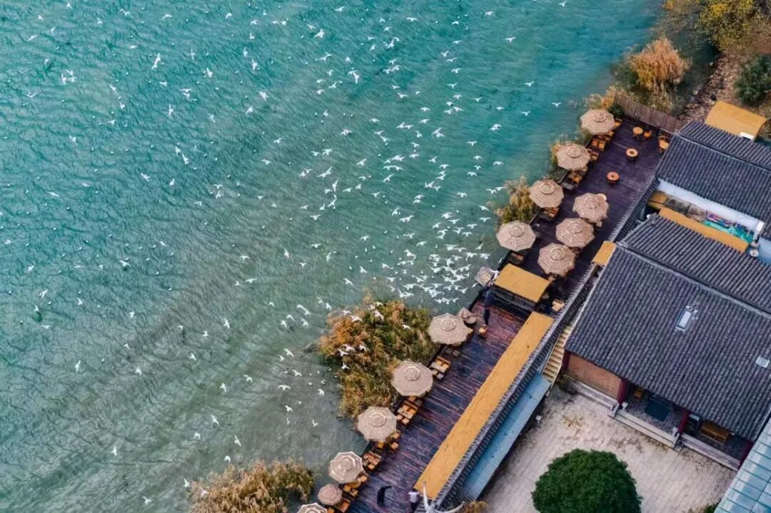 4条宝藏线路，等你来当观鸟搭子~