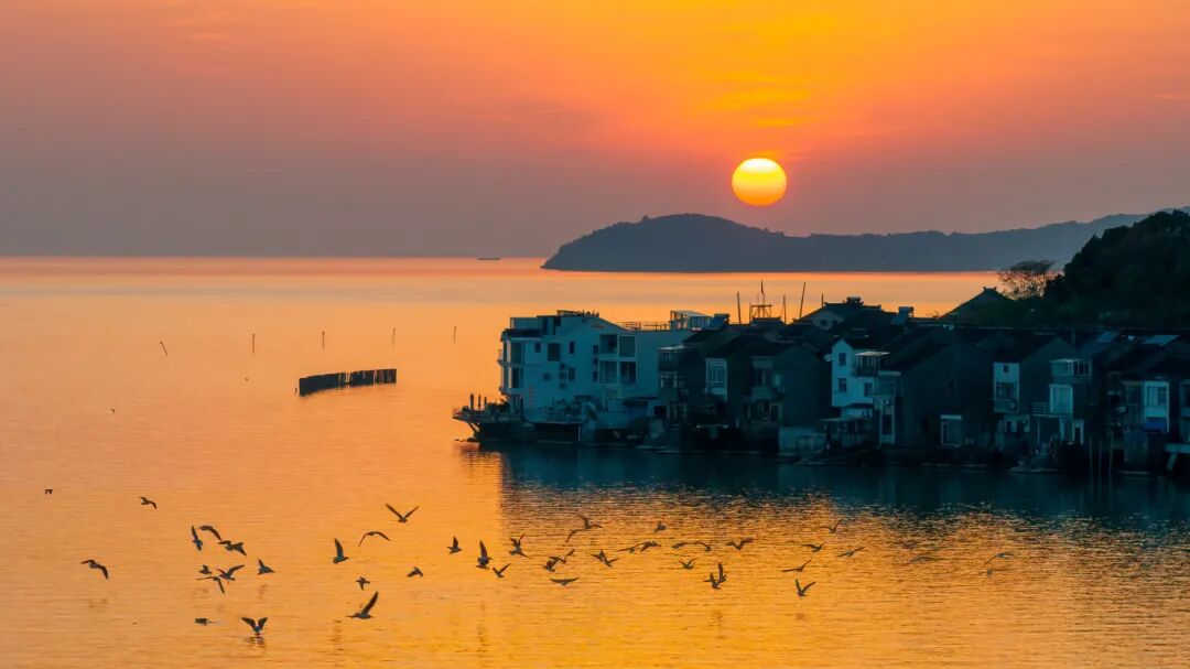 4条宝藏线路，等你来当观鸟搭子~