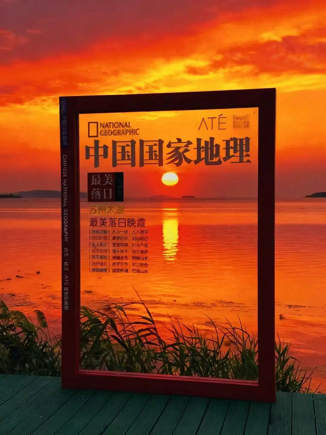 4条宝藏线路，等你来当观鸟搭子~