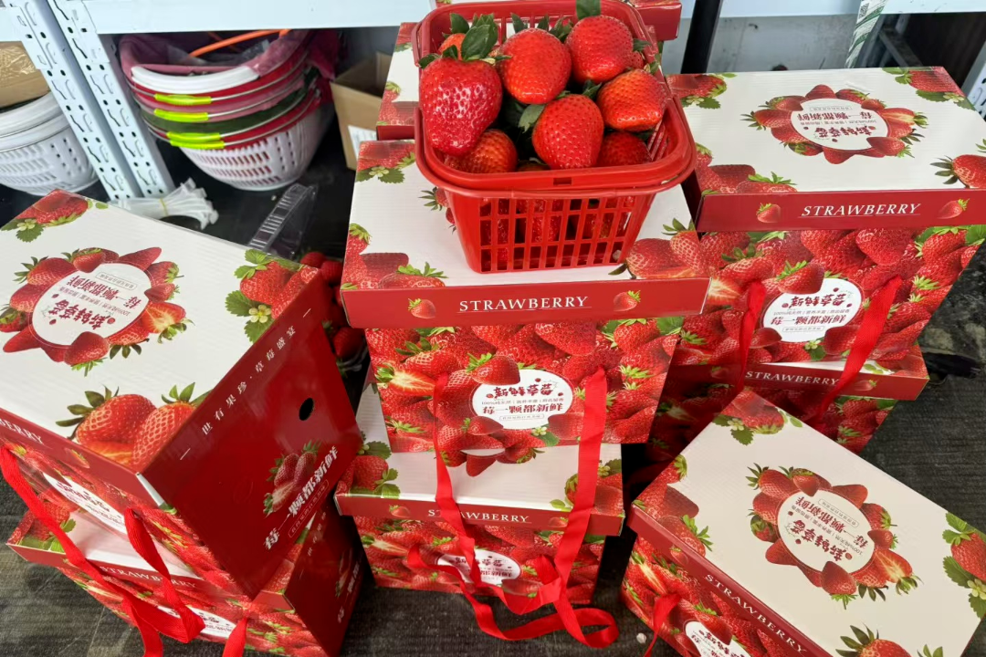 甜度13.5°+，快乐100%