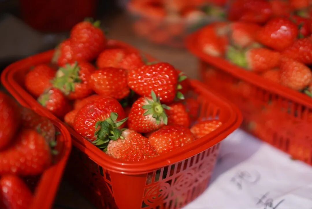 甜度13.5°+，快乐100%