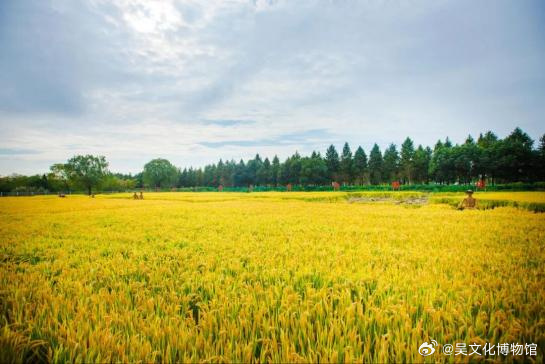 从土地到展台，可带走的江南秋冬清单来啦！