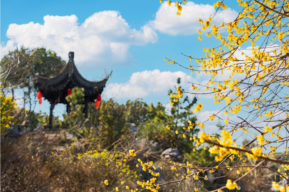 第一缕冬香已上线！请集合你的寻香搭子~