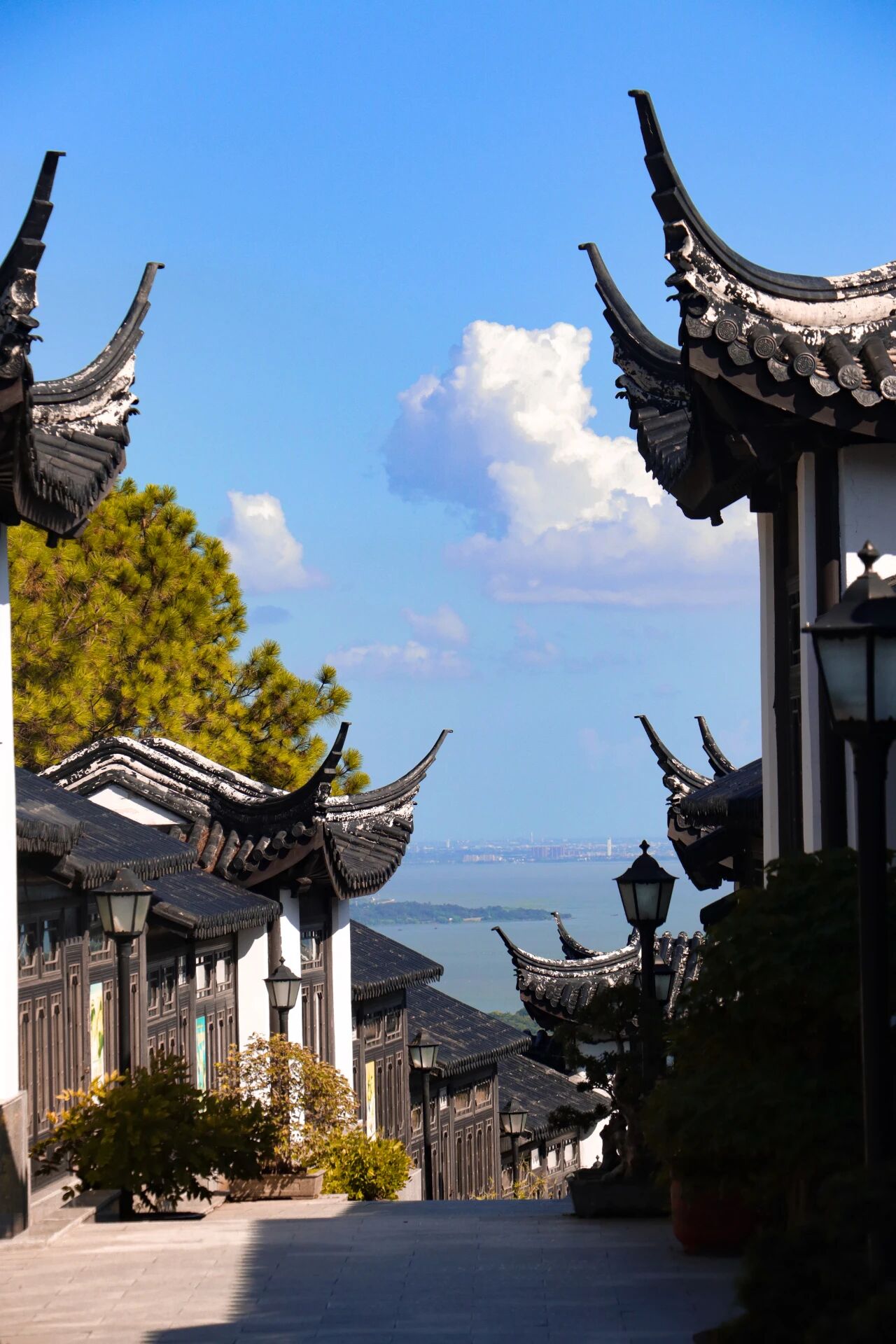 登高望远：解锁湖光山色冬景