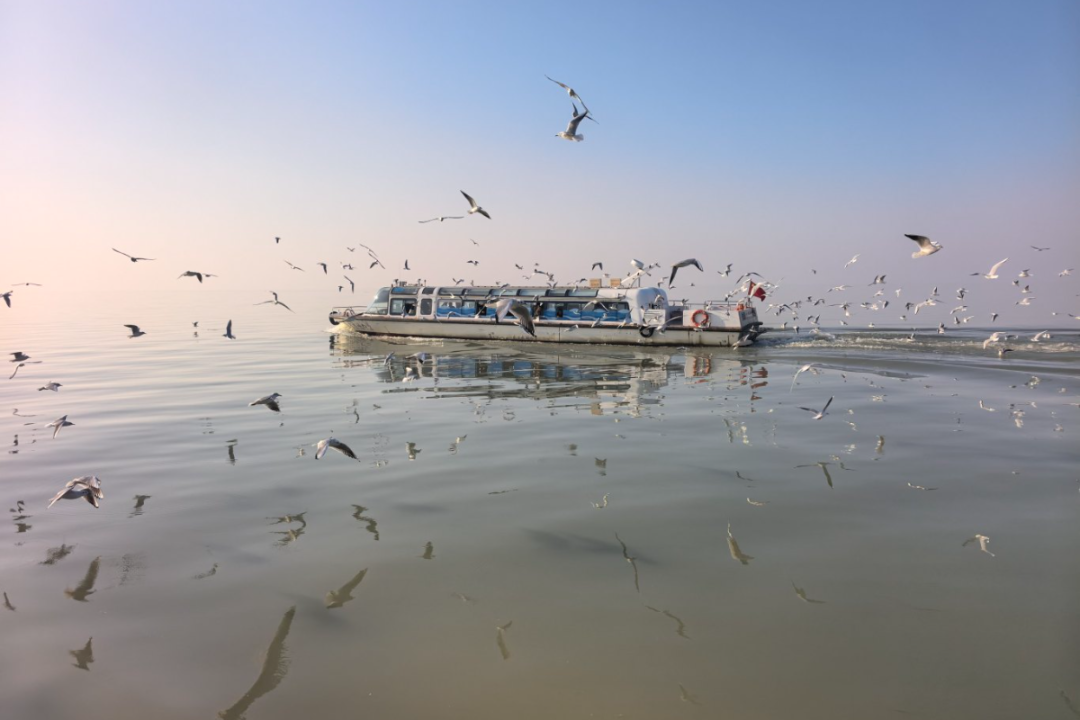 2026，一起向“热爱”出发~