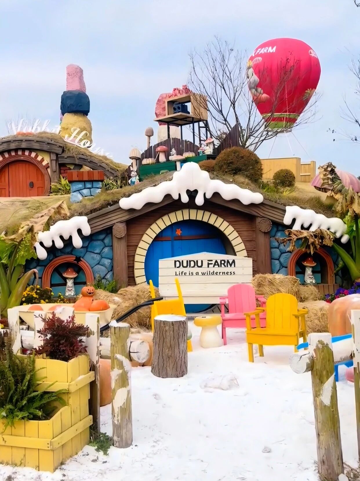 解锁毛茸茸治愈的时光