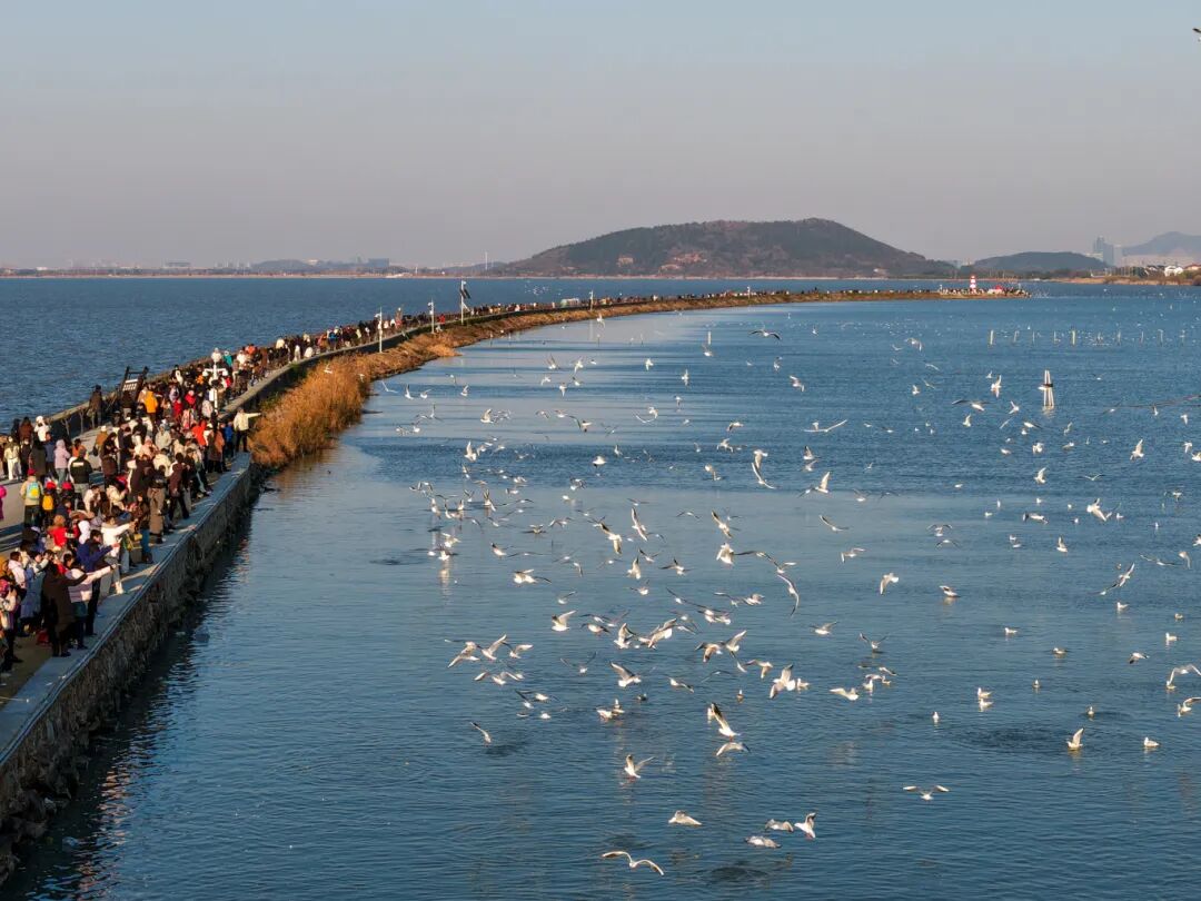 走啊！冬日限定快乐，一次集齐~