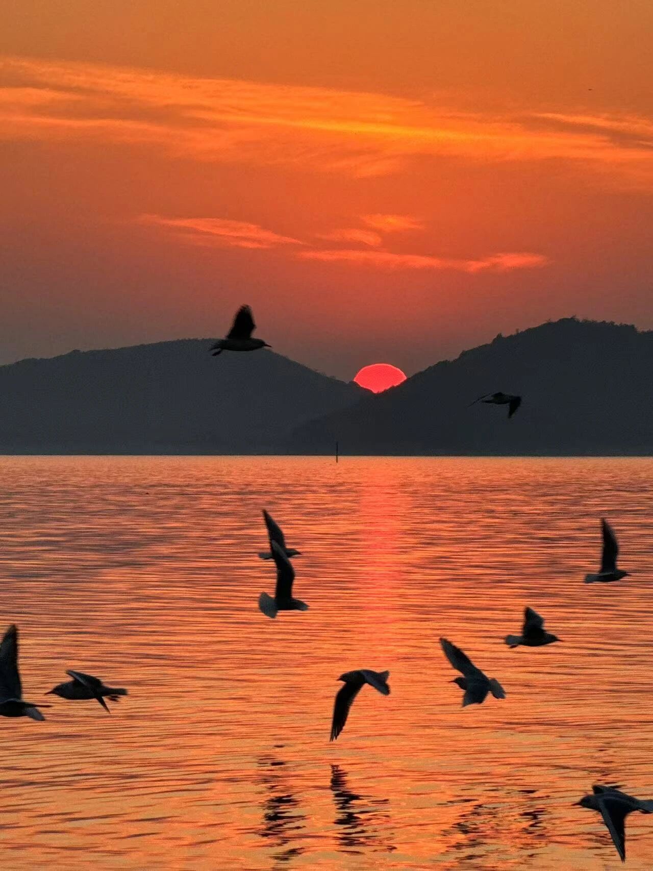 走啊！冬日限定快乐，一次集齐~