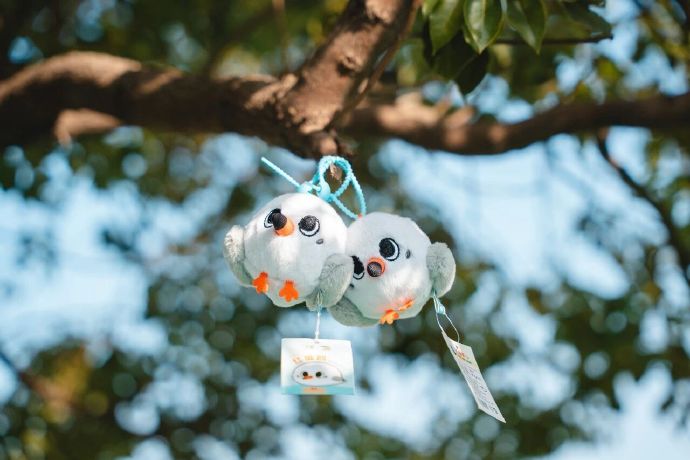 当太湖观鸟遇到评弹快闪，你“鸥”遇了吗？