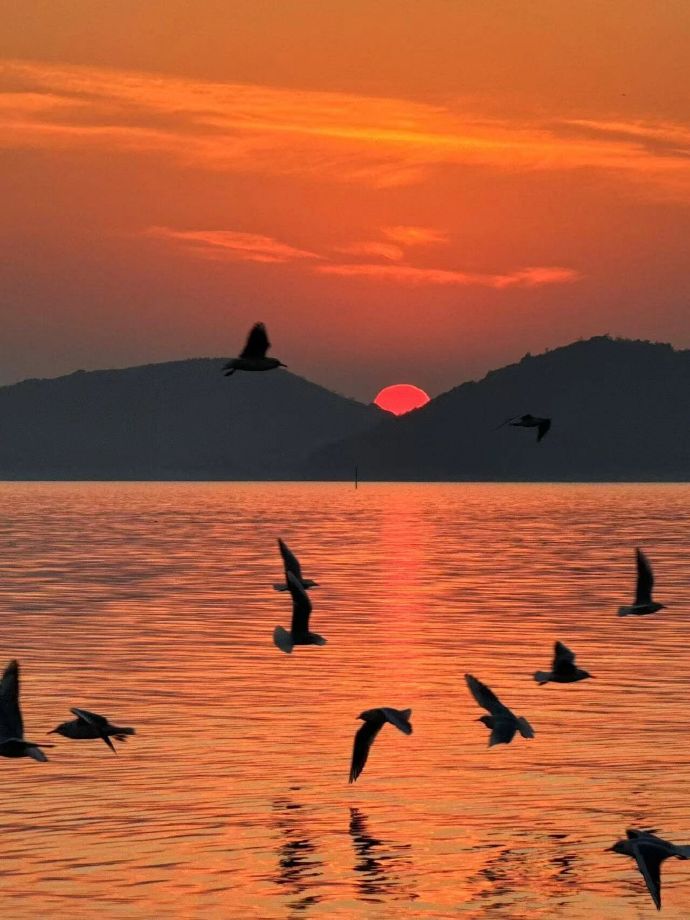 西山岛线：漫山梅海，田园野趣