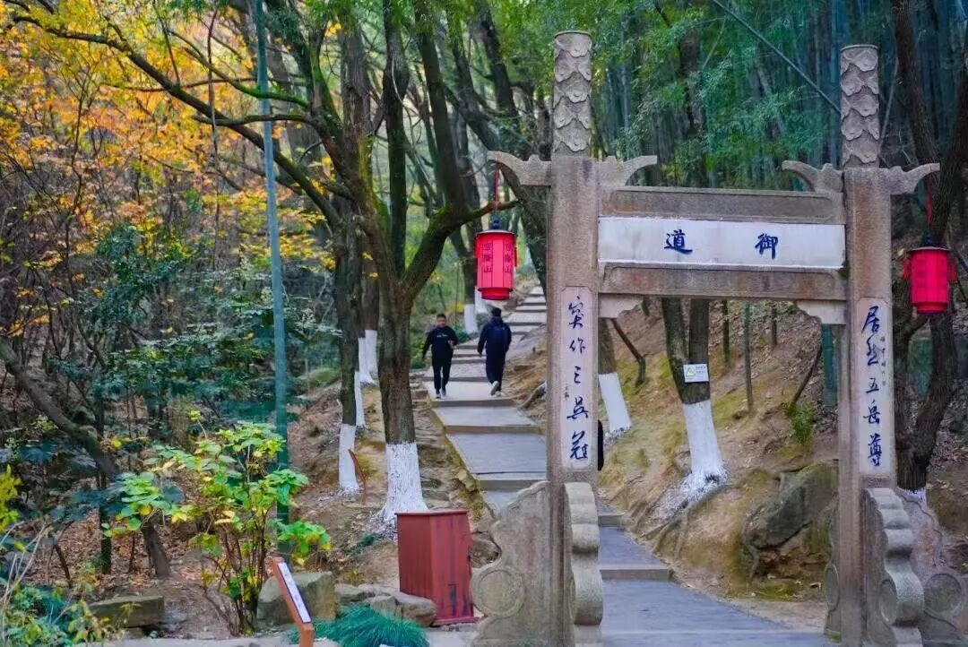 御道寻踪 踏叶听风