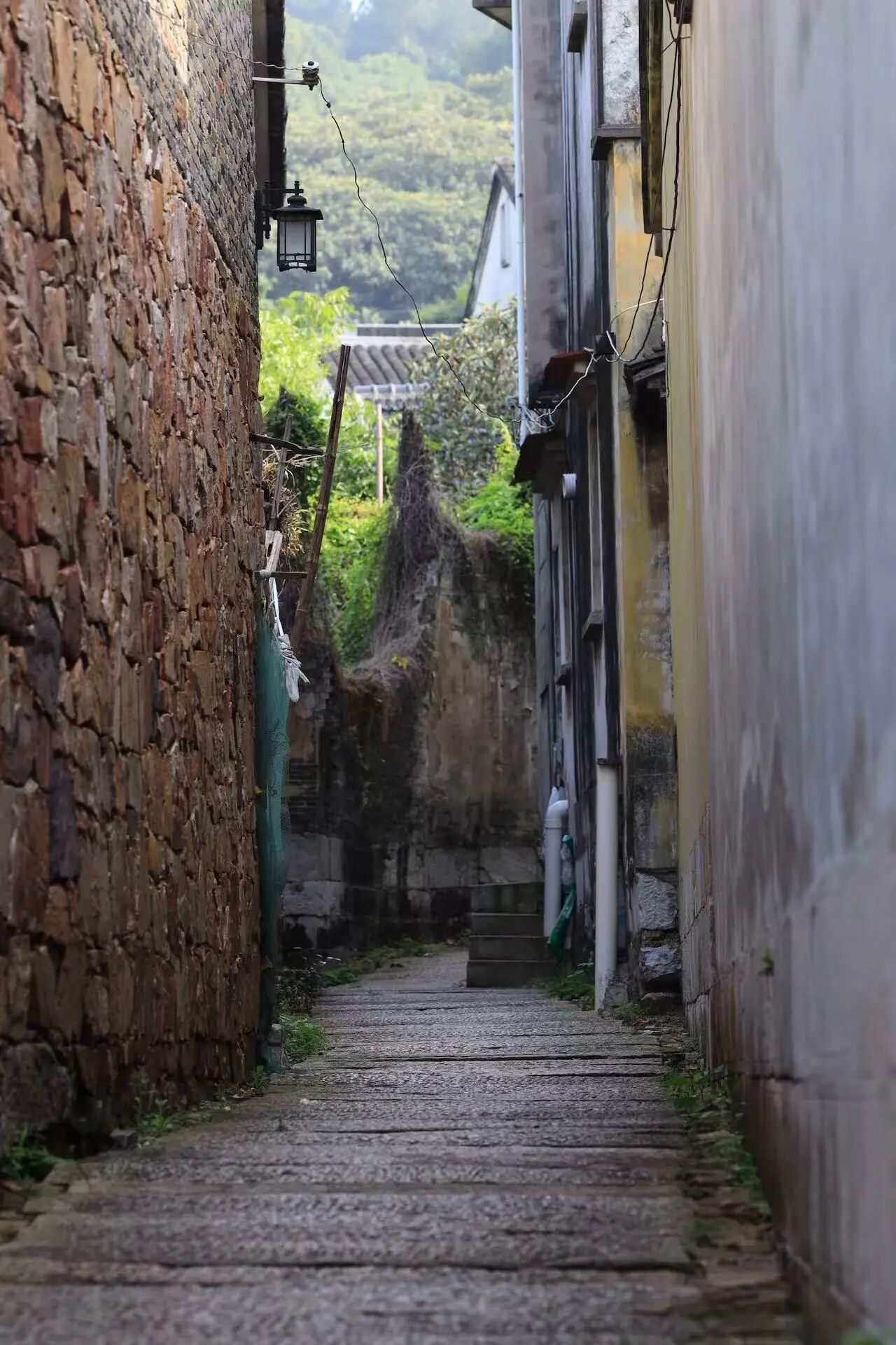 漫步古村，邂逅冬日小确幸