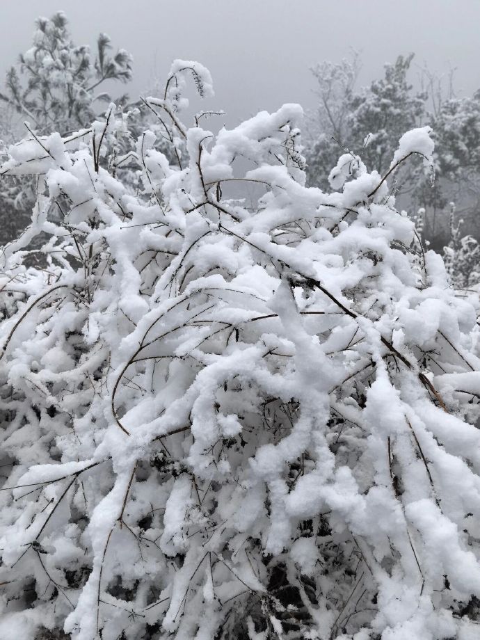 苏州的雪在这里！