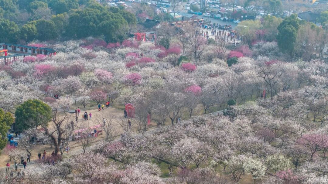 最受游客欢迎！吴中这里榜上有名！