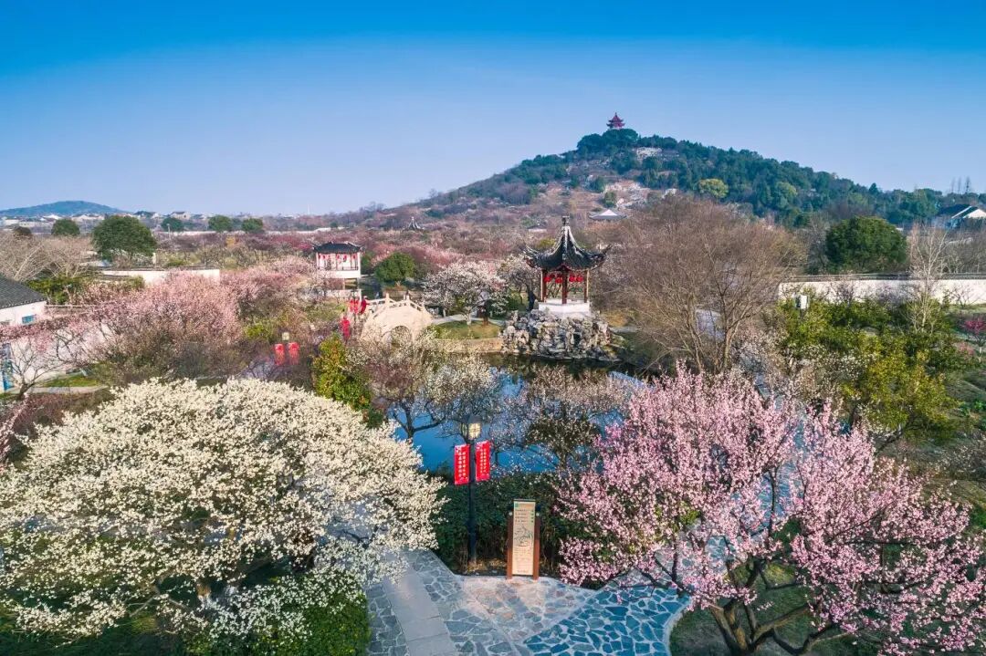 最受游客欢迎！吴中这里榜上有名！