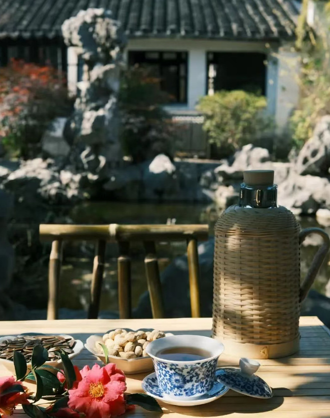 焕新开放！免费！