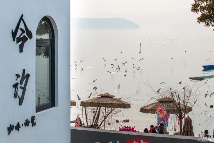 香雪寻梅，吴中梅海探春之旅