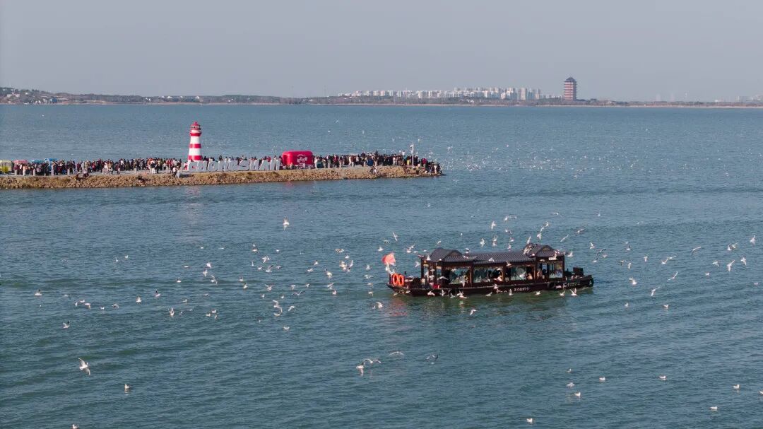 187.23万人次！吴中春节马力全开！