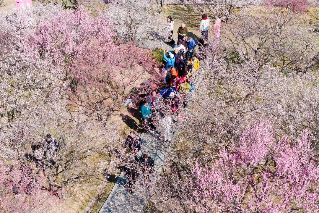 187.23万人次！吴中春节马力全开！