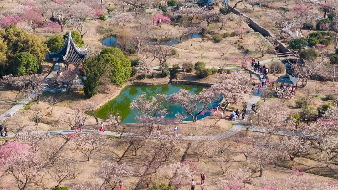 最佳观赏期！只差一个你！