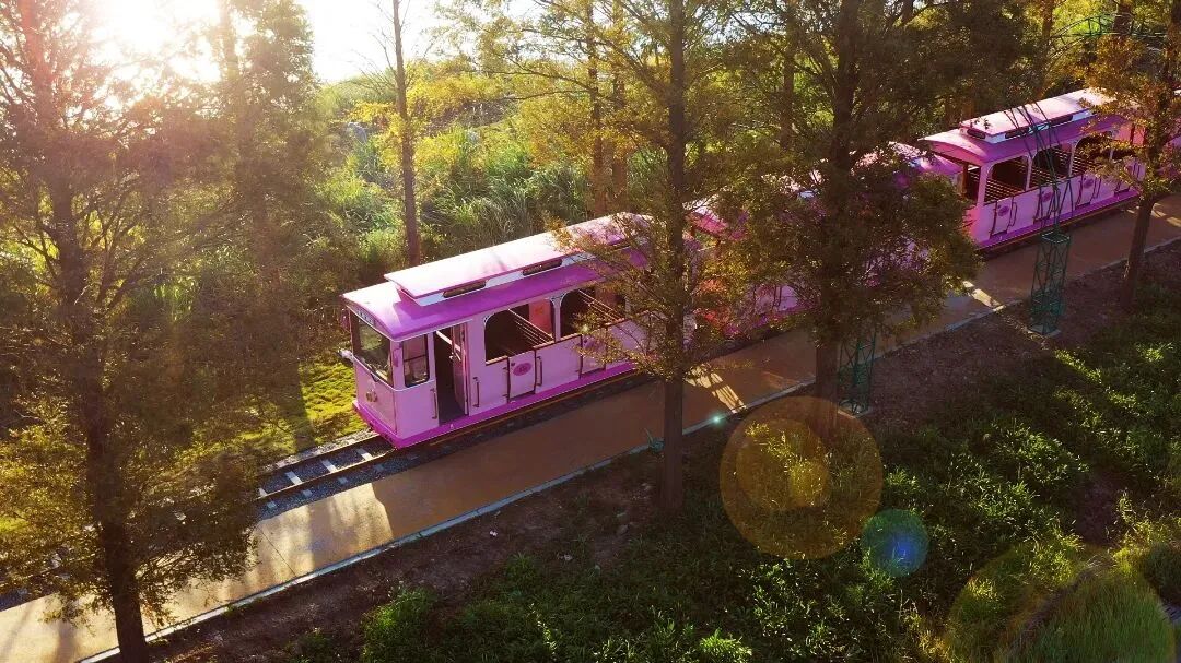 寒假倒计时！带娃去做这些快乐小事