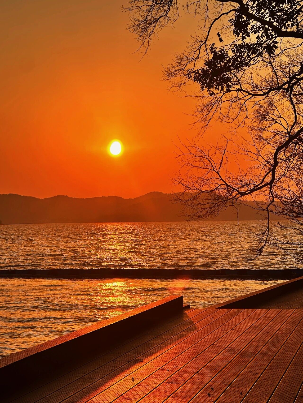 吴中咖啡馆茶馆打卡Vol.8→书香茶事·枞前