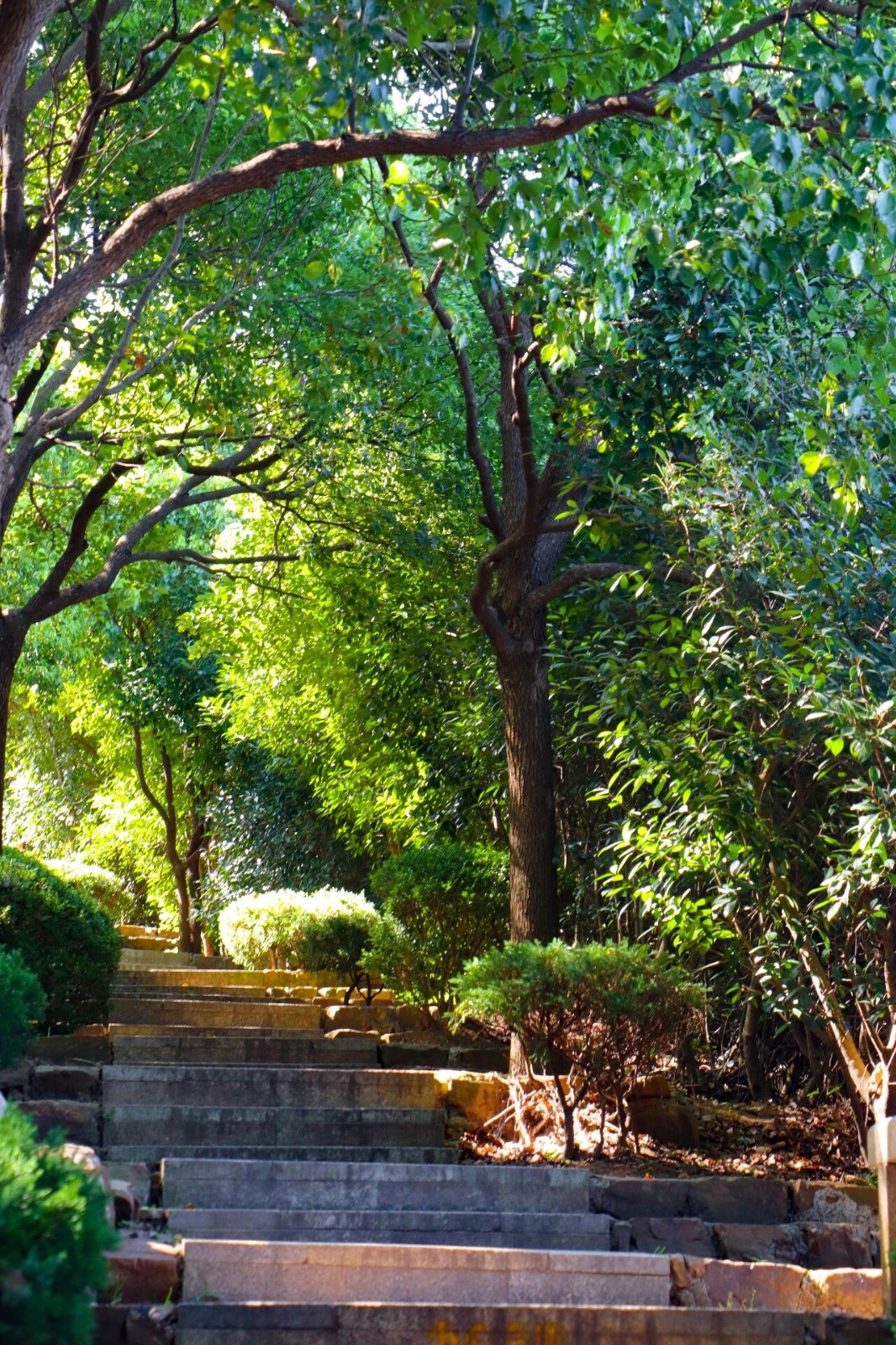 徒步吸氧，为身体充电！