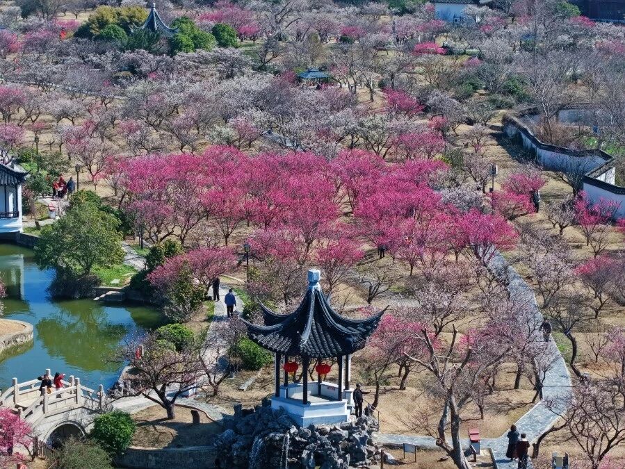 春光不等人，一起去赏梅吧~