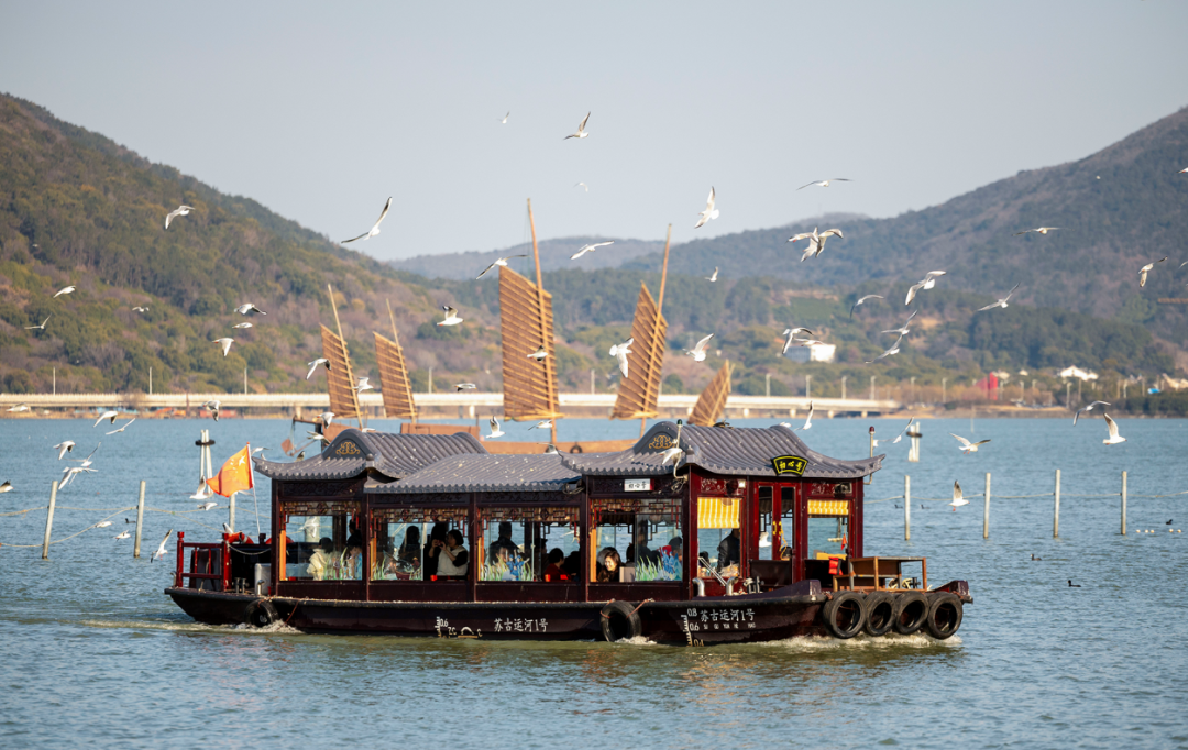 近200万人次的选择！马年新春的吴中凭实力圈粉！