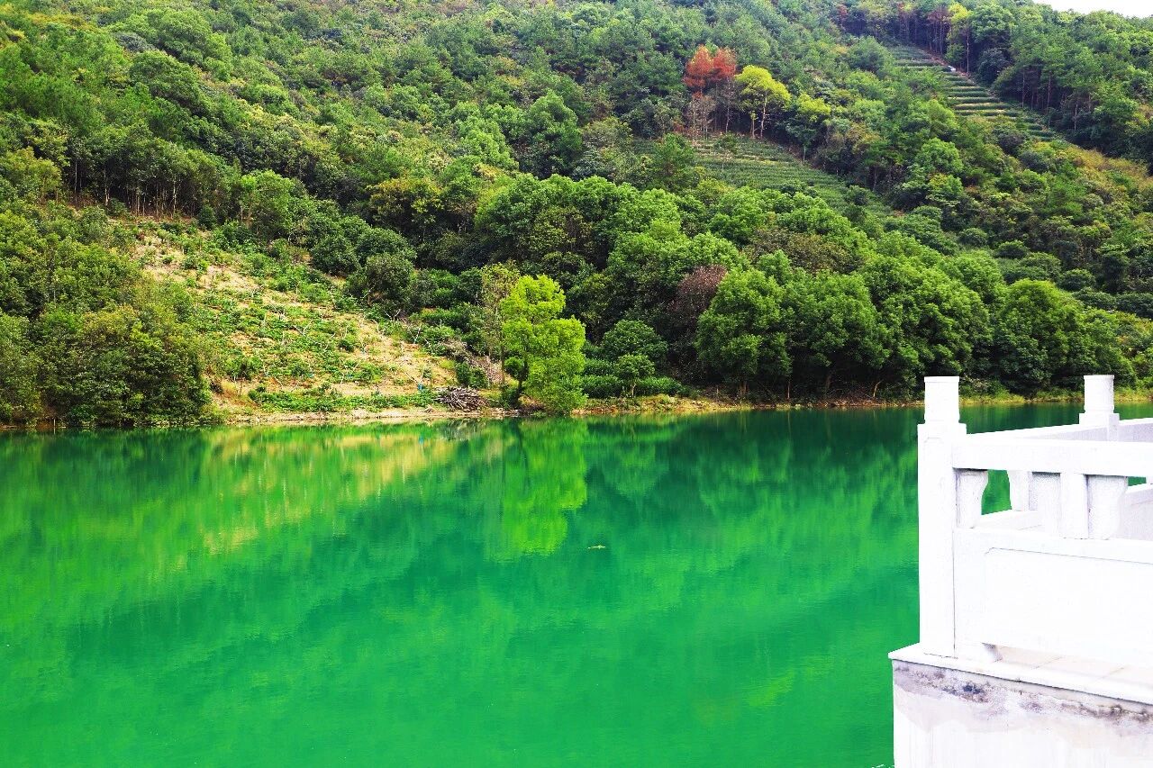 曼波绿境，治愈双眼