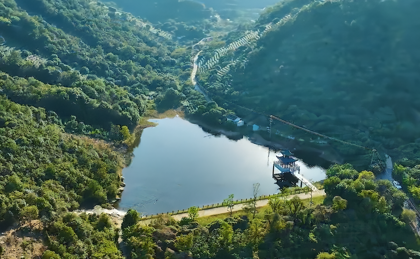 曼波绿境，治愈双眼