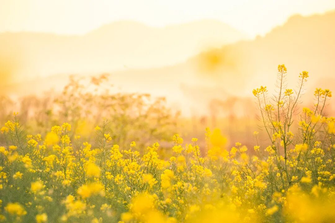 接下来的吴中，浪漫超标~