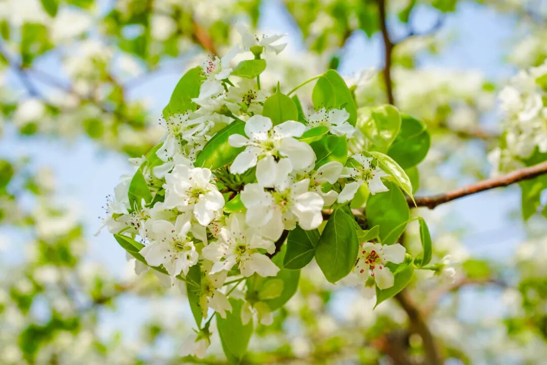 接下来的吴中，浪漫超标~